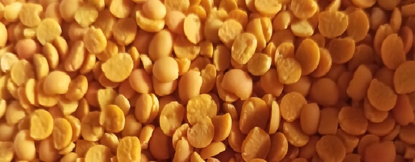 Lupinen, Soja schälen
